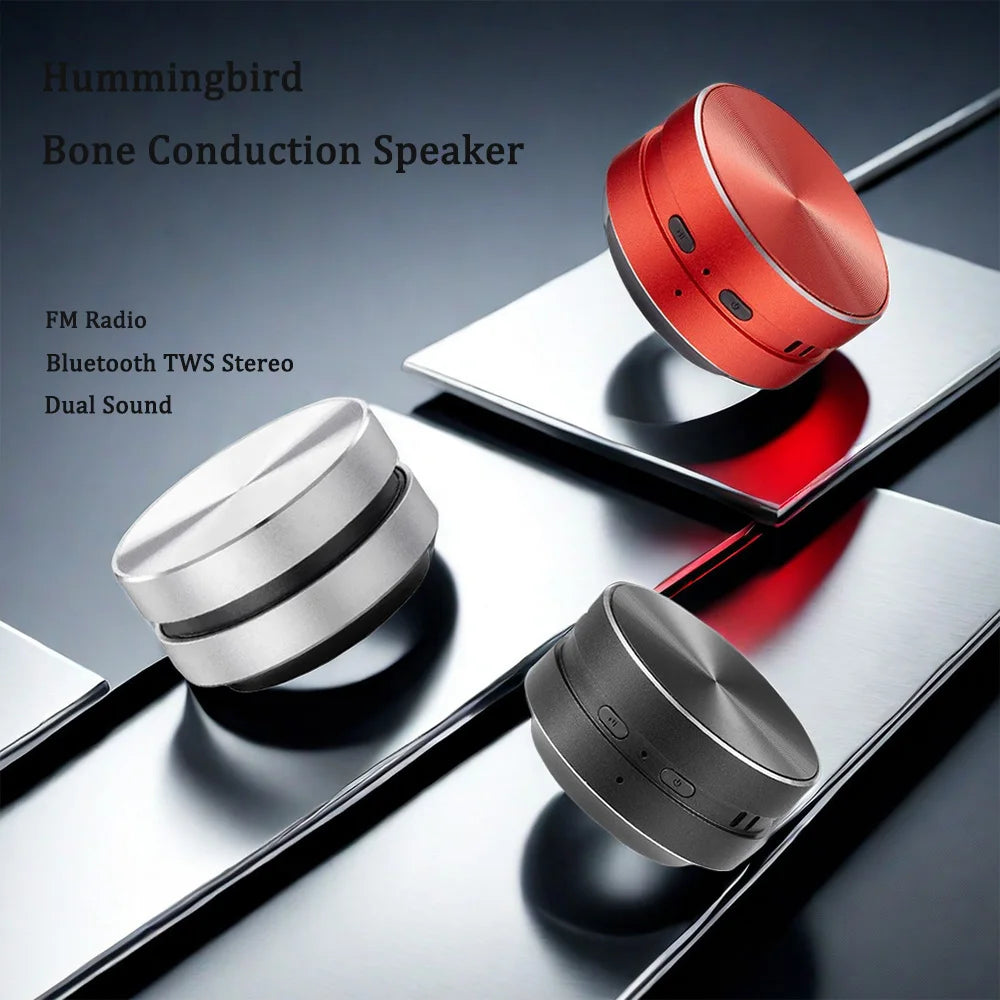 2024 heißer Knochenleitungslautsprecher Bluetooth-Kompatibel TWS Wireless Stereo Sound Hummingbird Lautsprecher Mit FM Radio Dropshipping